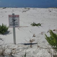 Beach with sign warning of bird nesting area.