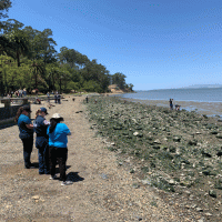 People on a beach.