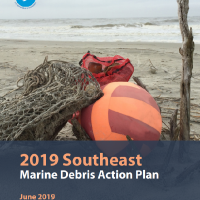 Southeast Marine Debris Action Plan Report cover.