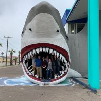 People standing in the mouth of a giant shark sculpture.
