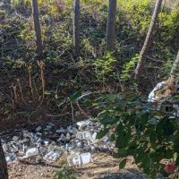 Debris at the bottom of a wooded ravine. 