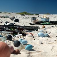 Marine debris on a beach.