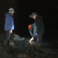 Two people looking at a mussel cage in the dark.