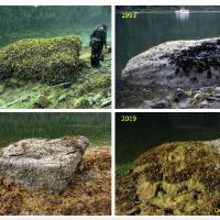 Four photos of a large rock, taken in 1991, 19193, 2008, and 2019.