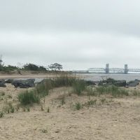 Beach with dune grass.