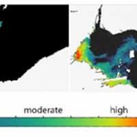 Satellite data showing comparison of HAB between 2016 and 2020.