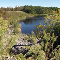 River with vegetation along the banks.