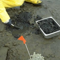 Hands digging in mud next to a tray.