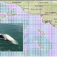 Map of whale search