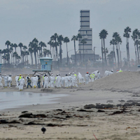 Cleanup workers on a beach.
