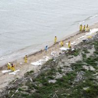 Photo of workers cleaning up a beach