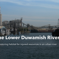 A boat navigates the Lower Duwamish River with industrial development on the river banks with text overlaid, "The Lower Duwamish River - Restoring habitat for injured resources in an urban river."
