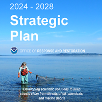 Photo of a staff member holding a net in water for OR&R’s 2024-2028 Strategic Plan cover photo. 