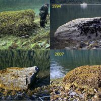 Collage of Mearns Rock photos, each showing different stages of biological cover. Image credit: NOAA.