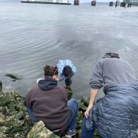 Four training class participants bend down to inspect a rocky coastline. 