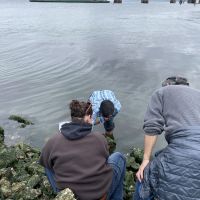Four training class participants bend down to inspect a rocky coastline. 
