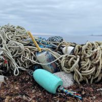 A pile of marine debris.