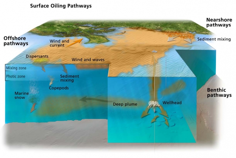 A diagram of an oil spill.