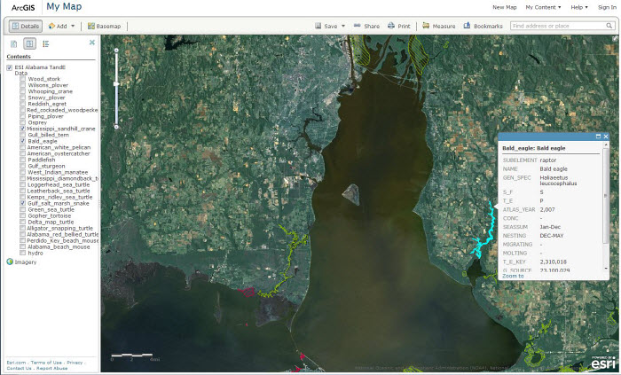 Screenshot of the Threatened and Endangered Species geodatabase, showing the location of several threatened/endangered species in Alabama.